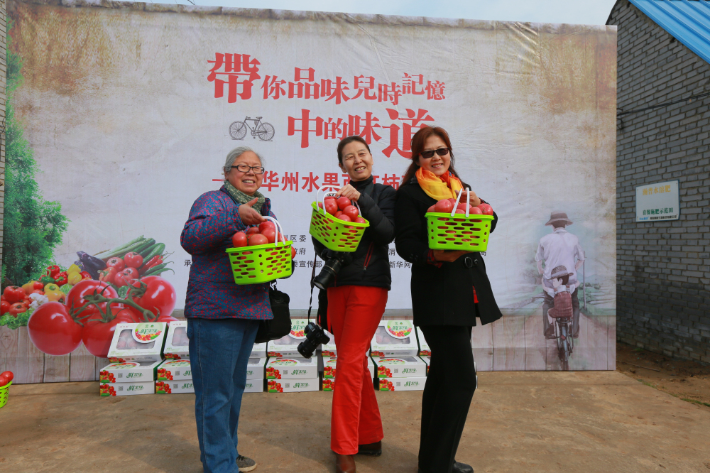 美食品鑒團(tuán)華州區(qū)蔬菜種植基地里享受采摘樂趣