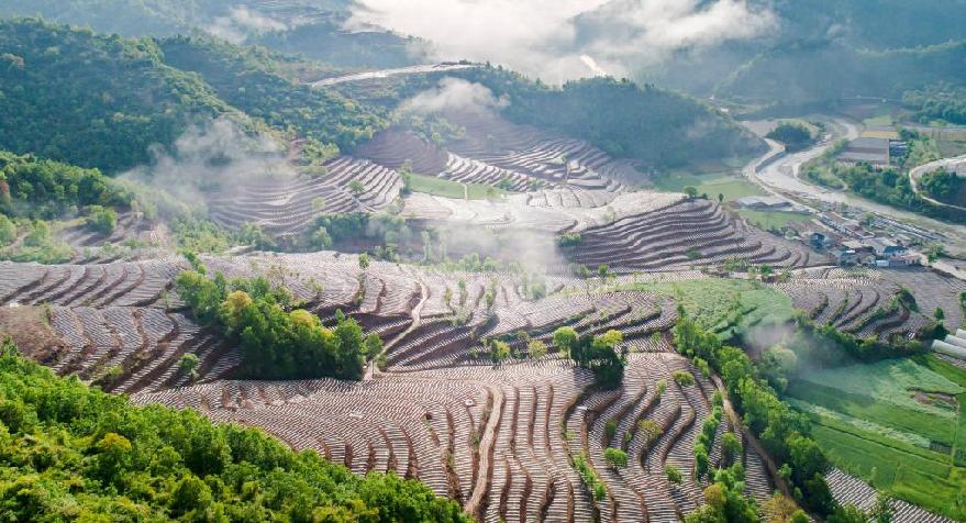 陜西略陽(yáng)：梯田如畫